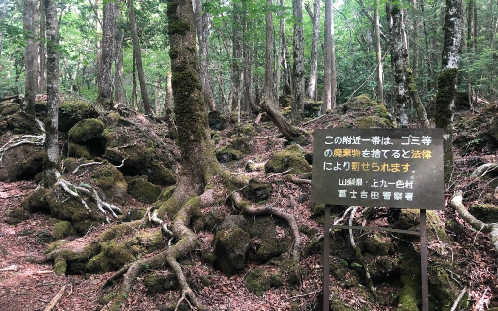 Aokigahara mets Jaapanis