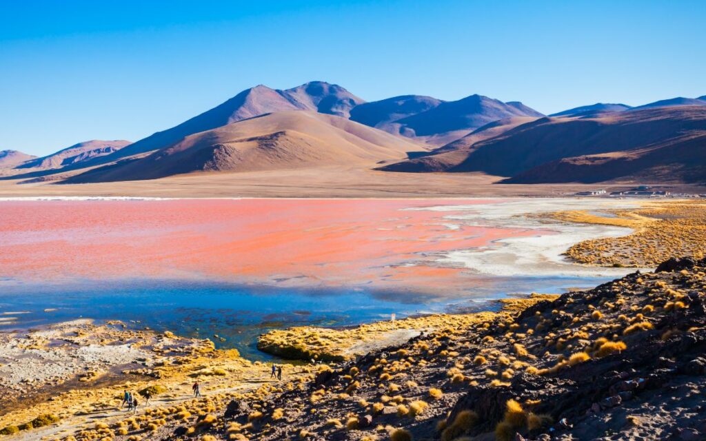 Laguna Colorada Boliivias