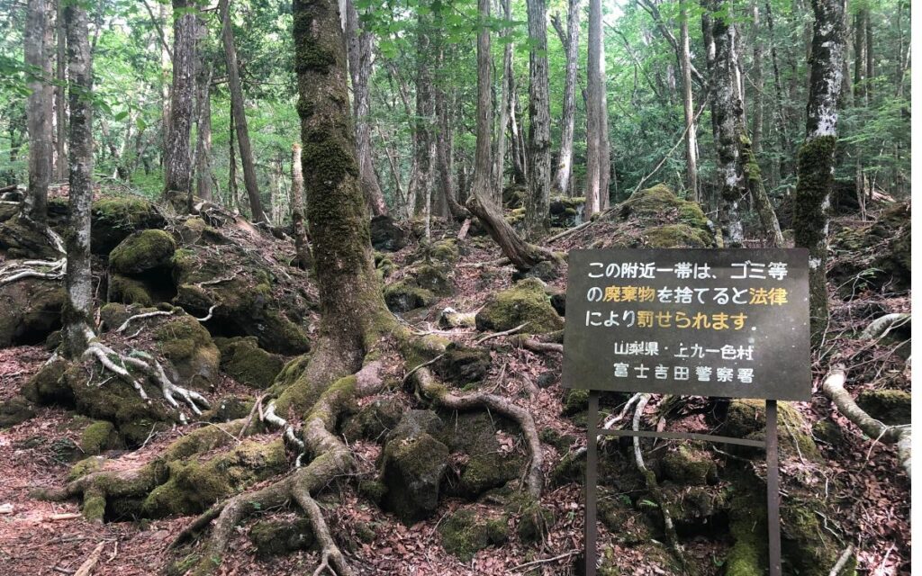 Aokigahara mets