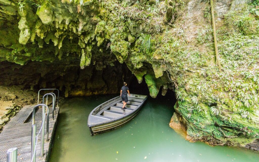 Waitomo koopad, Uus-Meremaa