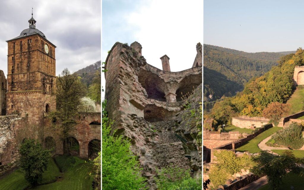 Heidelbergi loss