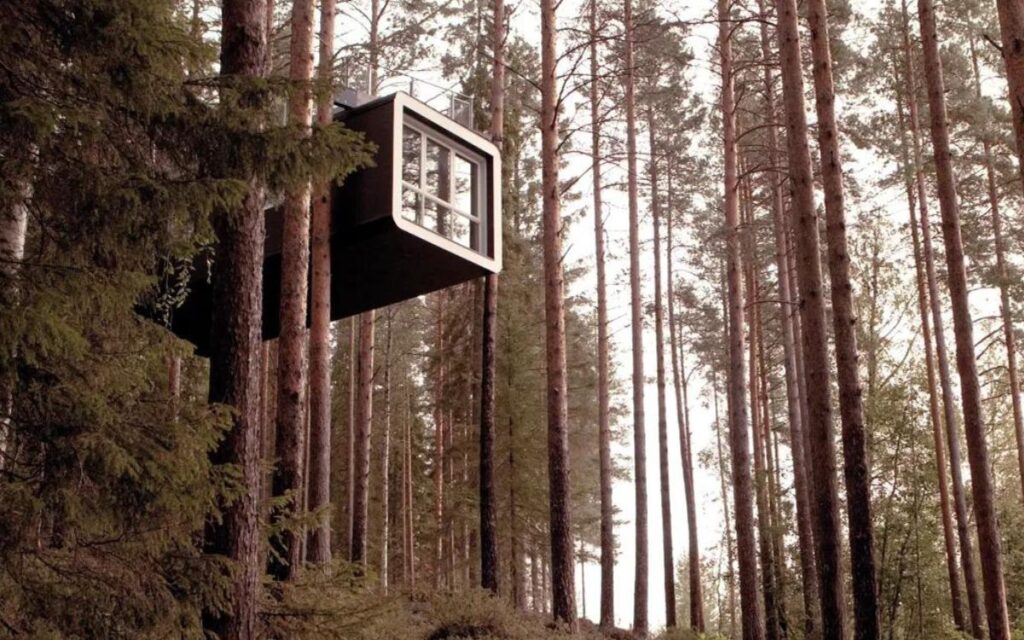 Treehotel, Rootsi